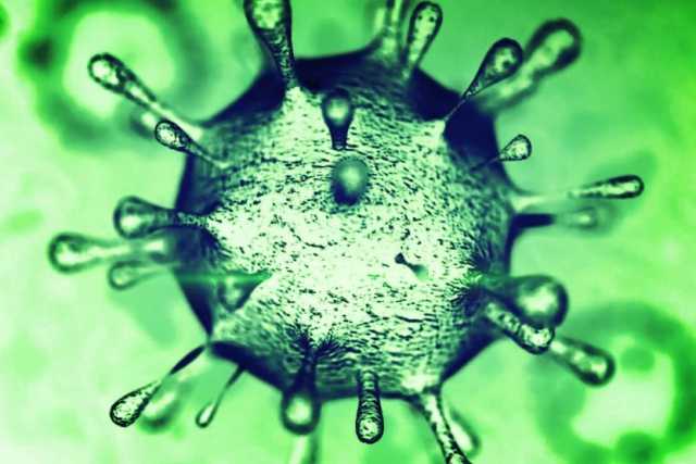 Coronavirus, in Puglia 82 nuovi casi: positivo il 5,14% dei tamponi